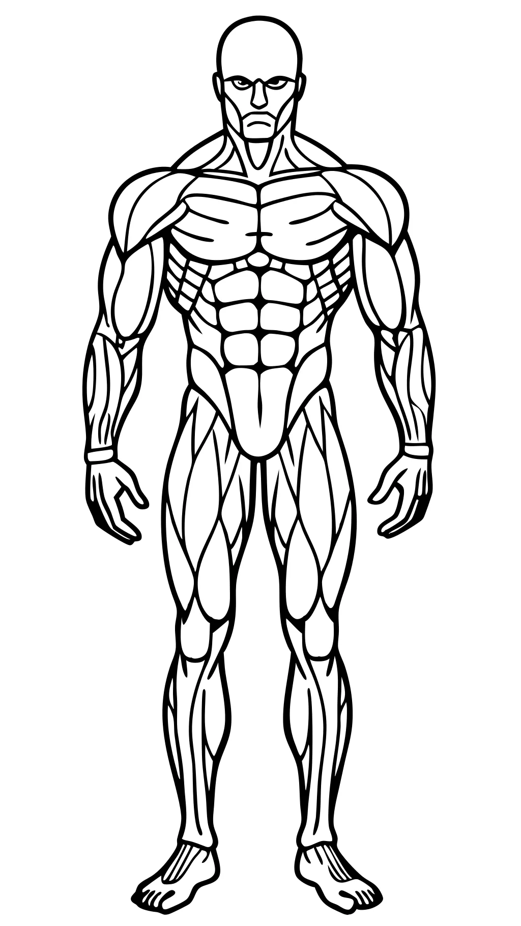 coloring pages for muscles